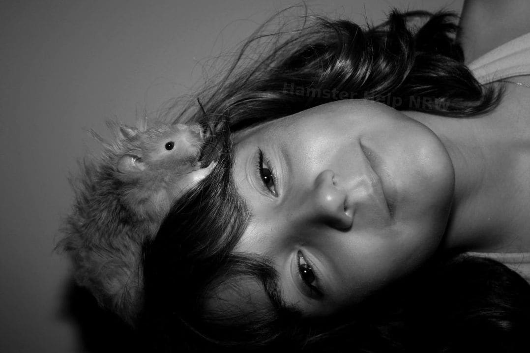 Hamster Help NRW 4